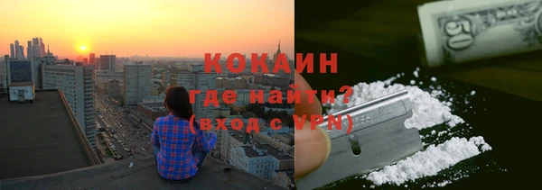гашик Новодвинск