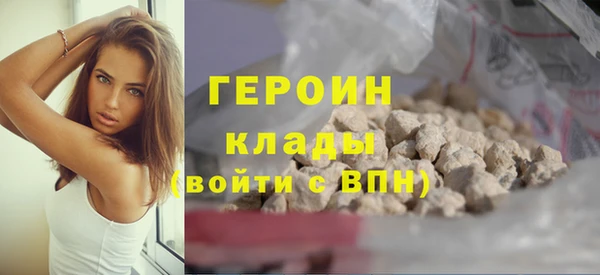гашик Новодвинск