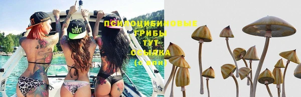 таблы Нефтекумск