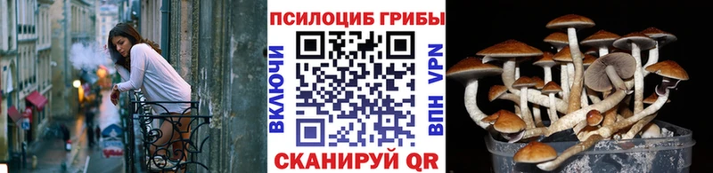 Псилоцибиновые грибы GOLDEN TEACHER  Павлово 