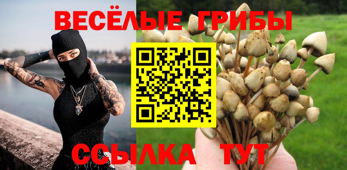 Галлюциногенные грибы Psilocybine cubensis Павлово