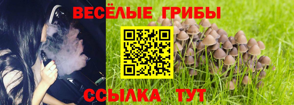 Псилоцибиновые грибы прущие грибы  Псилоцибиновые грибы прущие грибы  Павлово  закладки  Вход с VPN 