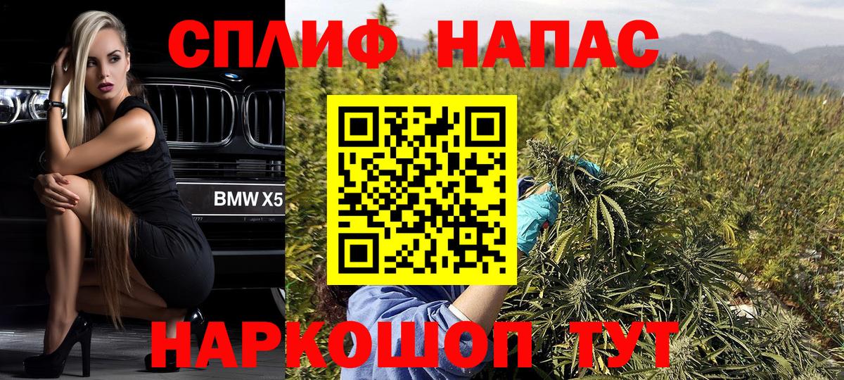 Конопля конопля Павлово